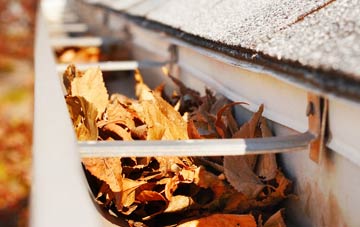 Thoresway gutter cleaning companies