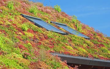 Thoresway living roof systems