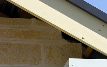 soffit repair Thoresway