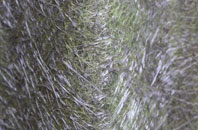 Thoresway fibreglass roof work